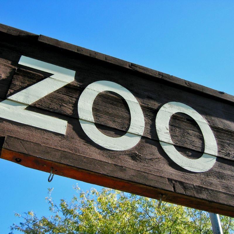 akron zoo is a great place for families in akron