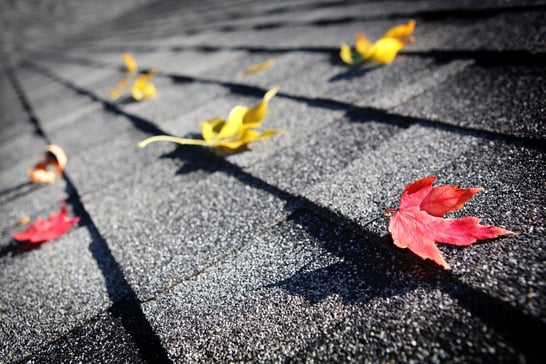 Asphalt shingles can be easily replaced